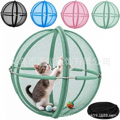 Cat hamster ball - hamster,