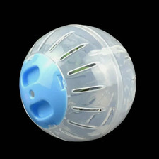 Small Pet Hamster Exercise