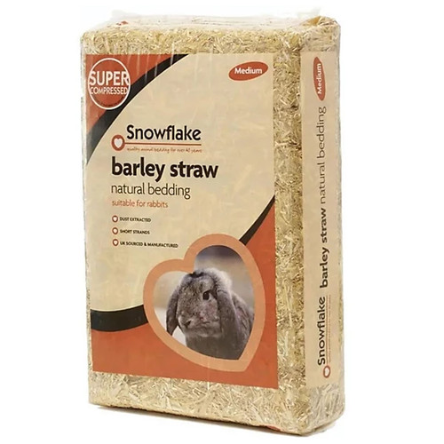 Snowflake medium compressed - snowflake,