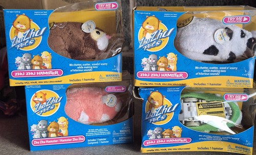 Zhu pets - zhu,