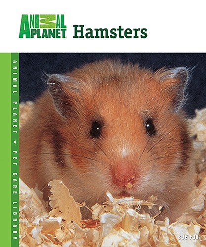 Hamsters animal planet pet - (animal,