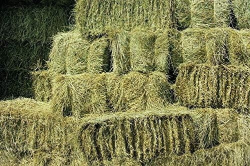 Shorefields fresh meadow hay - shorefields,