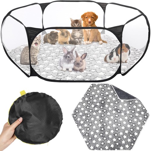 Guinea pig playpen - guinea,