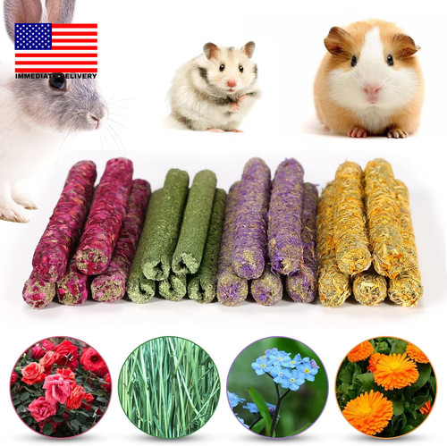 Rabbit chew toys for - rabbit,
