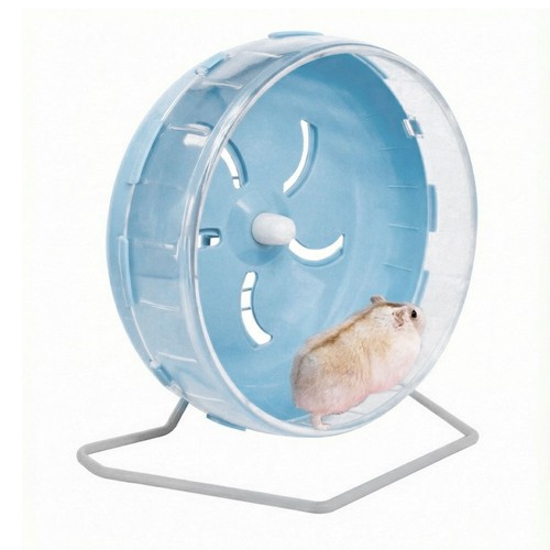 Super silent hamster exercise - hamster,