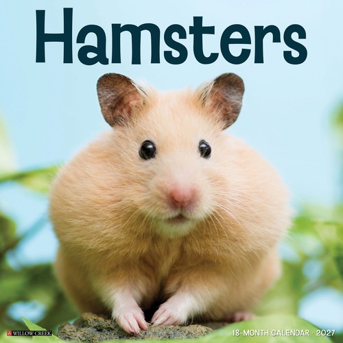 Hamsters 2027 12 - x, wall