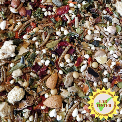 Hammykins syrian seed - syrian,