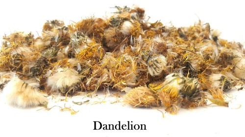 Dried dandelion flowers pet - dandelion,