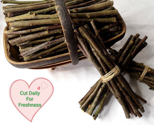 British fresh cut apple wood - fresh,