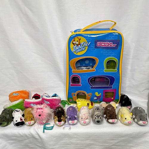 Zhu pets hamster - zhu,