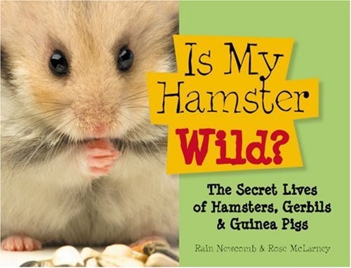 Hamster wild the - is, wild: