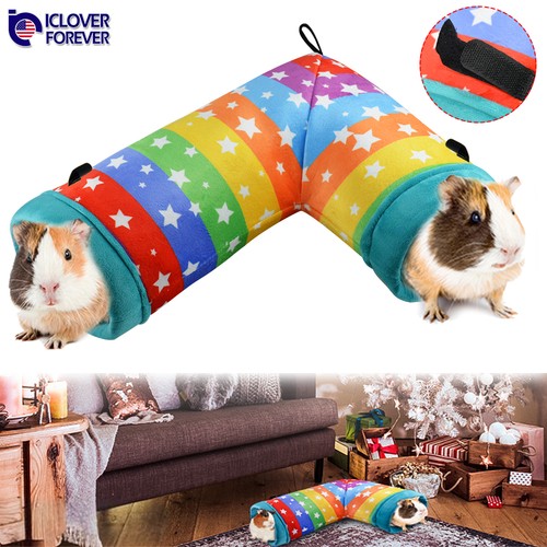 Guinea pig hideout corner - pig,