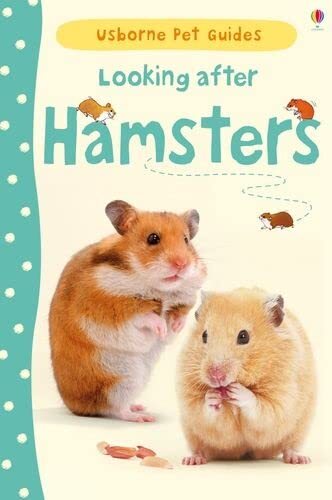 Looking after hamsters - after,