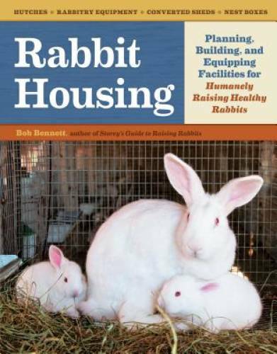 Rabbit housing planning - rabbit,