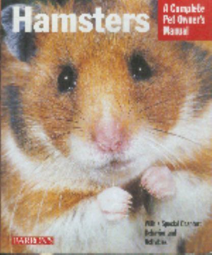 Hamsters everything about - hamsters:,