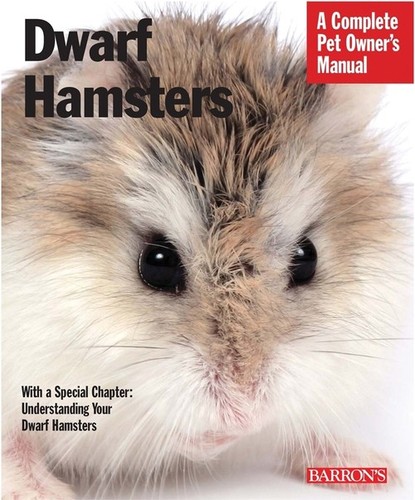 Dwarf hamsters sharon - dwarf,
