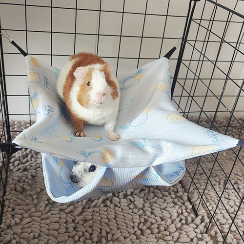Hamster guinea pig - pig, rat