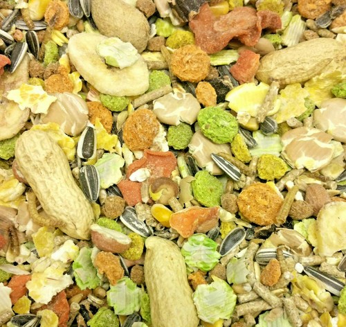Supreme hamster gerbil mix - &,