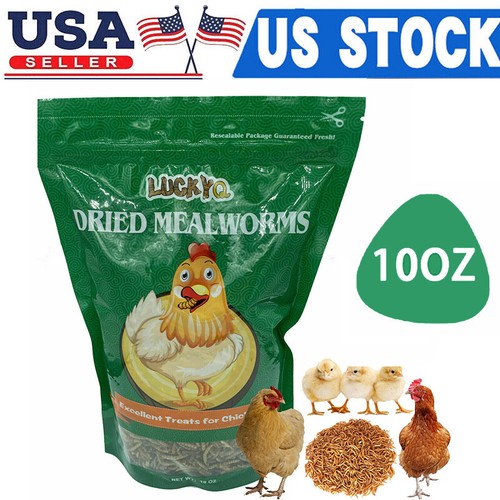 Dried mealworms bulk - dried,