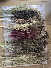 Hamster Seed Spray Bouquet