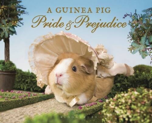 Guinea pig pride prejudice - pig, &