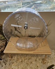 Adorable Hamster Patterns On