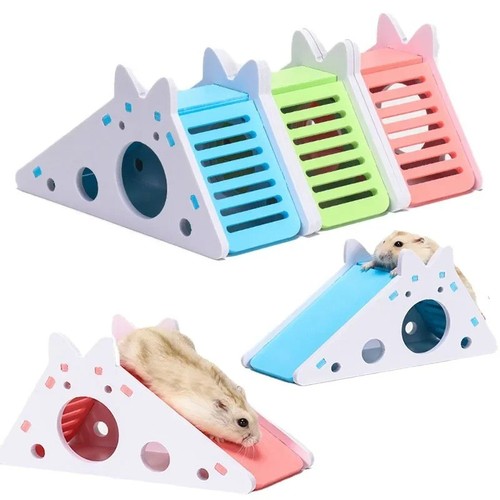 Pet hamster hideout - hamster, house