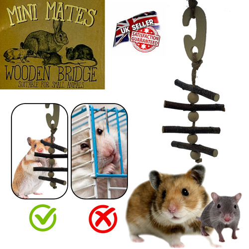 Pet small animal accessories - pet,