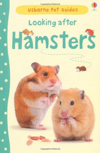 Looking after hamsters - after,