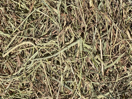 Fox peak timothy hay - hay, rabbits