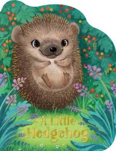 Little hedgehog board - little,
