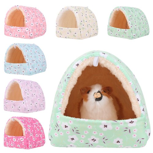 Squirrel hamster house - hamster, guinea