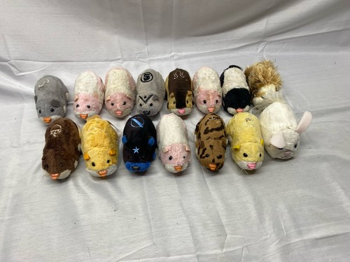 Zhu pets - pets,