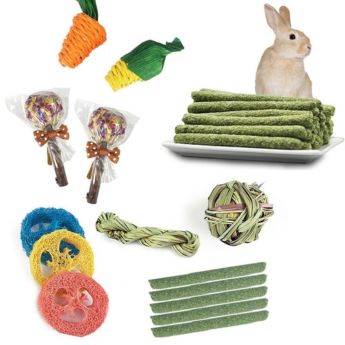 14x small animal - small,