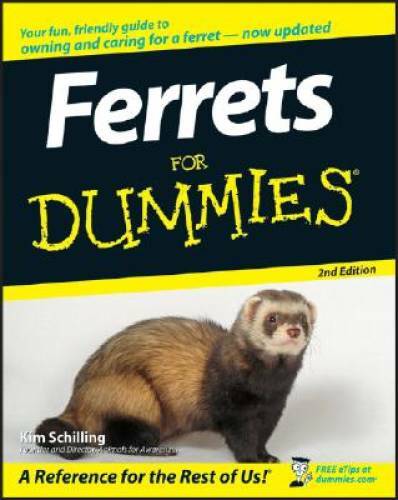 Ferrets for dummies - ferrets,