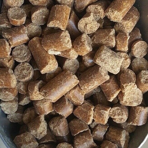 Rodent diet breeding - rodent,