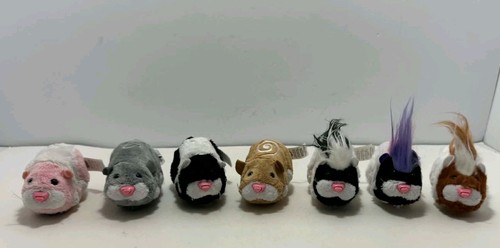 Lot zhu - lot, hamsters