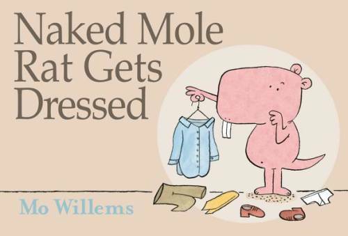 Naked mole rat gets dressed - mole,