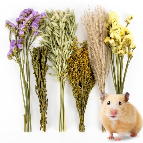 Sukh 42pcs hamster sprays - sukh,