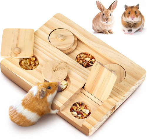 Guinea pig foraging toys in - foraging, toys,