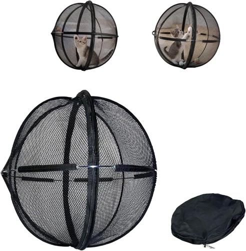 Cat hamster ball for - cat,